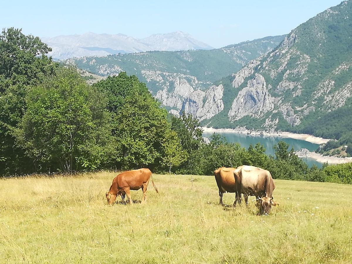 Hotel Vignjista Plužine Esterno foto